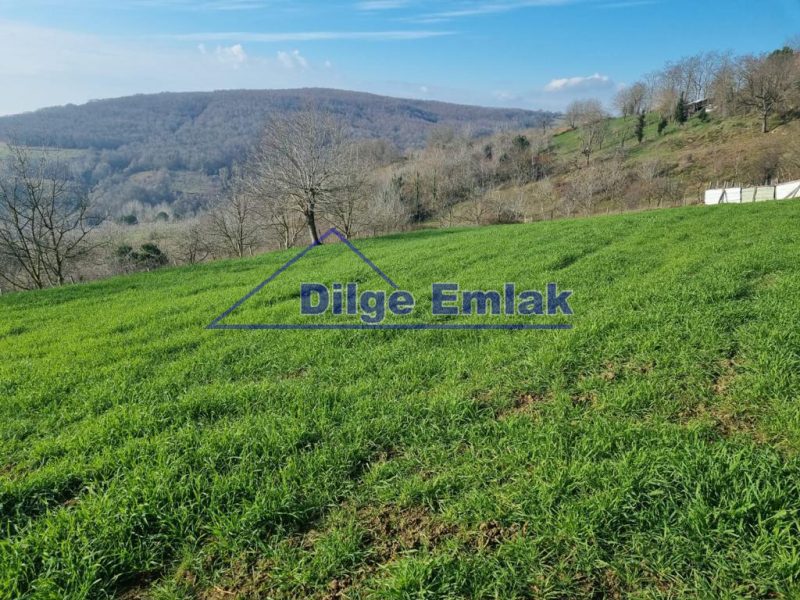 İzmit Kandıra Balören Köyünde %40 İmarlı 1610m² Satılık Arsa